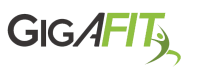 gigafit
